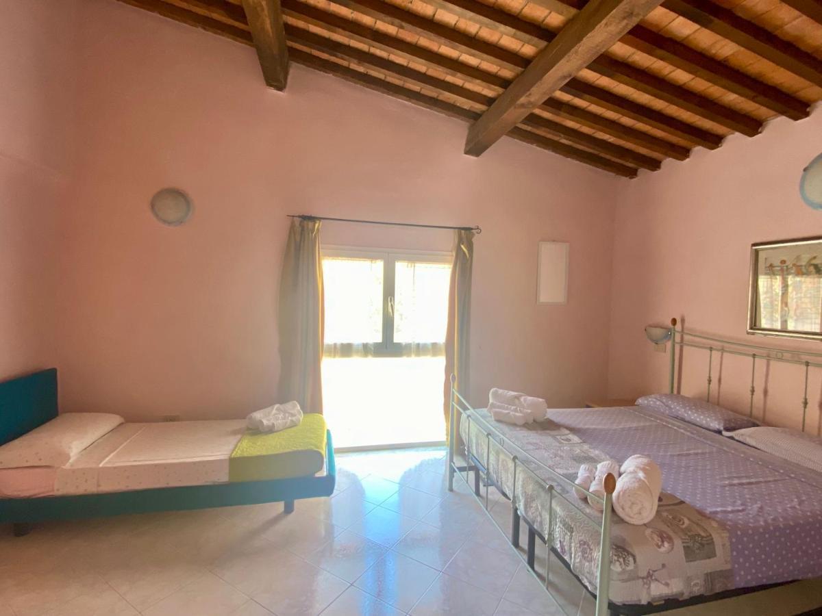 Apartment Tirreno Tirrenia Eksteriør bilde